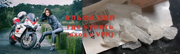 PSILOCYBIN Михайлов