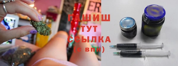 PSILOCYBIN Михайлов