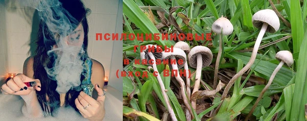 прущий лед Арсеньев