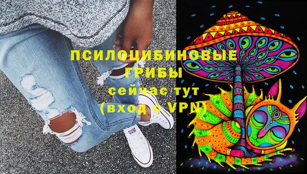 ПСИЛОЦИБИНОВЫЕ ГРИБЫ Михайловск