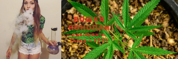 PSILOCYBIN Михайлов