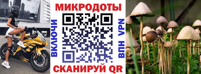 Галлюциногенные грибы Magic Shrooms  Торжок 